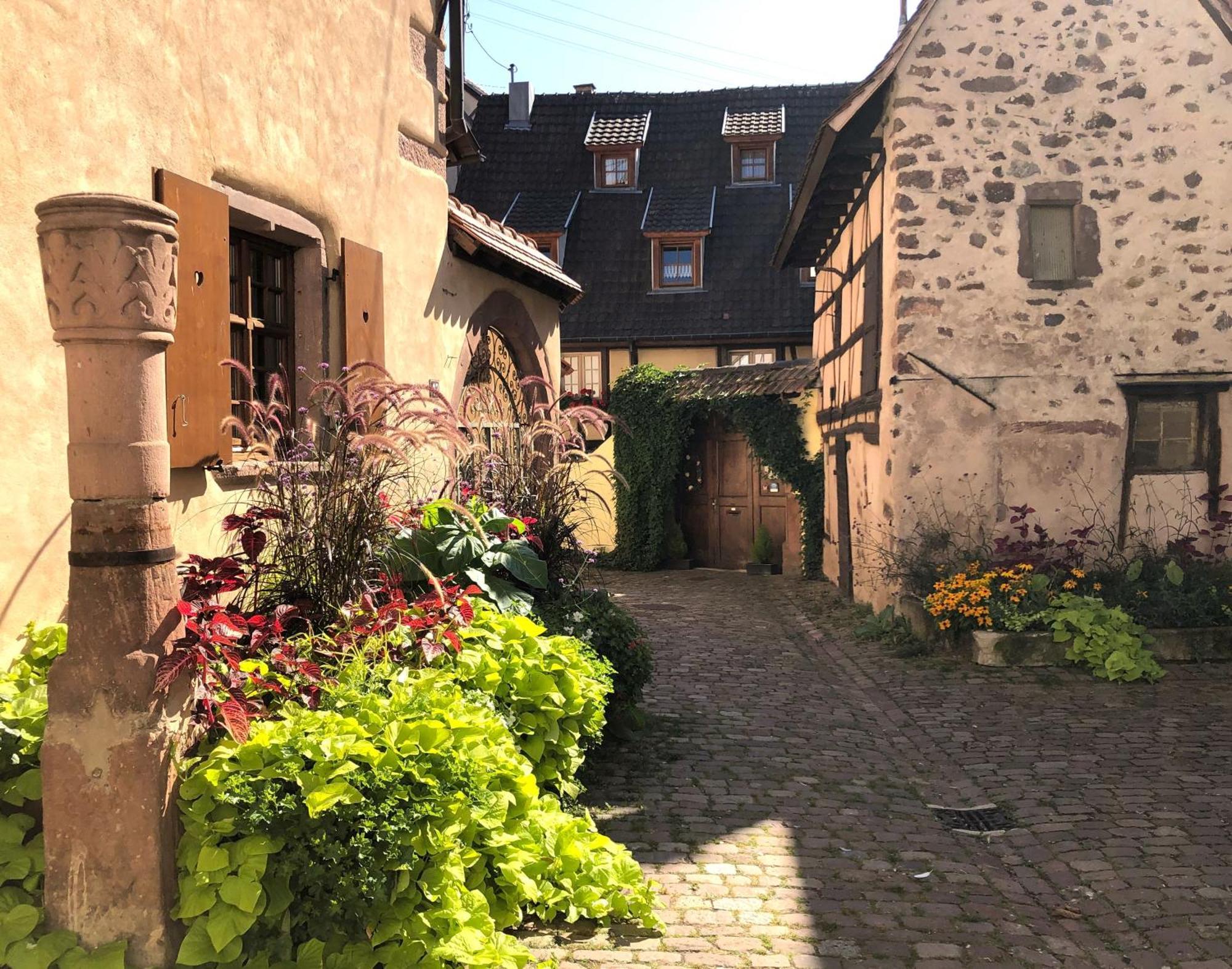 Les Gites Coeur De Vigne Riquewihr Eksteriør billede